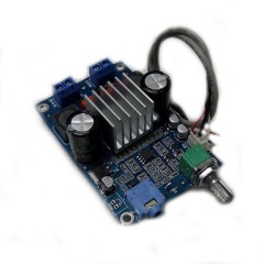 TPA3116-100W-MONO